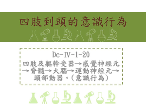 意識行為3