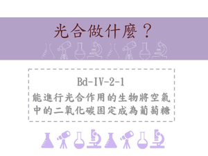 能進行光合作用的生物將空氣中的二氧化碳固定成為葡萄糖