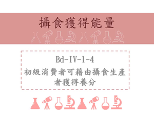 初級消費者可藉由攝食生產者獲得養分