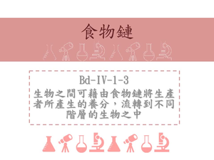 生物之間可藉由食物鏈將生產者所產生的養分，流轉到不同階層的生物之中