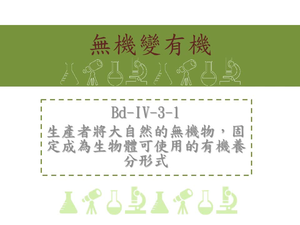生產者將大自然的無機物，固定成為生物體可使用的有機養分形式