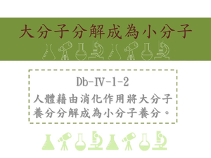 人體藉由消化作用將大分子養分分解成為小分子養分