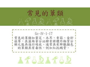 常見的蕈類如靈芝、木耳、香菇、金針菇等，其菌絲會分泌酵素將體外物質分解之後再進行吸收。通常具有鮮艷顏色的蕈類具有毒性，例如紅托鵝膏
