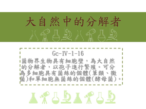菌物界生物具有細胞壁，為大自然的分解者，以孢子進行繁殖。可分為多細胞具有菌絲的個體[蕈類、黴菌]和單細胞無菌絲的個體[酵母菌]