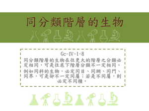 同分類階層的生物在往更大的階層之分類必定相同，可是往底下階層分類不一定相同。例如同科的生物，必定同目、同綱、同門、同界，可是卻不一定同屬；若是不同屬，則必定不同種
