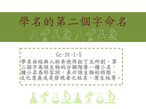學名4