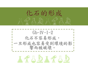 化石不容易形成，一旦形成也容易受到環境的影響而被破壞