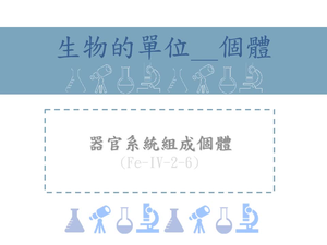 器官系統組成個體