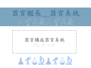 器官構成器官系統