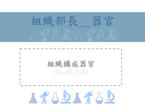 組織構成器官