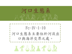 河口生態系