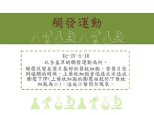 以含羞草的促發運動為例