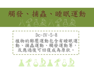 植物的膨壓運動包含有睡眠運動、捕蟲運動、觸發運動等，反應過後可回復成為原狀