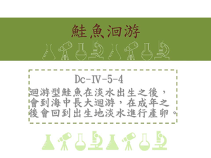 迴游型鮭魚在淡水出生之後，會到海中長大迴游，在成年之後會回到出生地淡水進行產卵
