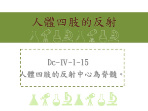 人體四肢的反射中心為脊髓