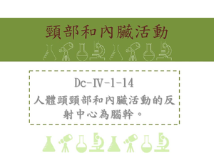 人體頭頸部和內臟活動的反射中心為腦幹