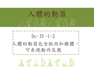 人體的動器包含肌肉和腺體，可表現動作反應