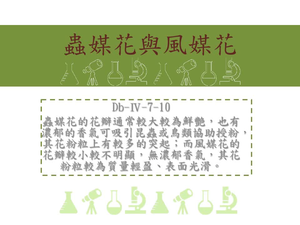 蟲媒花的花瓣通常較大較為鮮艷，也有濃郁的香氣可吸引昆蟲或鳥類協助授粉，其花粉粒上有較多的突起；而風媒花的花瓣較小較不明顯，無濃郁香氣，其花粉粒較為質量輕盈、表面光滑