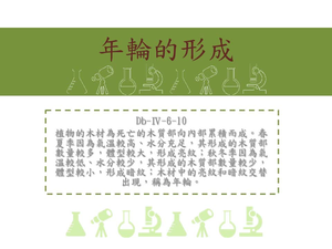 植物的木材為死亡的木質部向內部累積而成。春夏季因為氣溫較高、水分充足，其形成的木質部數量較多，體型較大，形成亮紋；秋冬季因為氣溫較低、水分較少，其形成的木質部數量較少，體型較小，形成暗紋；木材中的亮紋和暗紋交替出現，稱為年輪