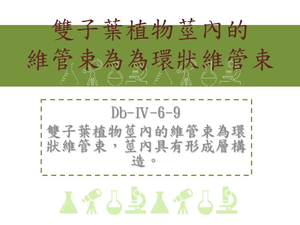 雙子葉植物莖內的維管束為環狀維管束，莖內具有形成層構造