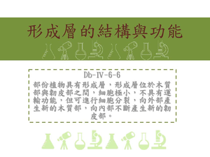 部份植物具有形成層，形成層位於木質部與韌皮部之間，細胞極小，不具有運輸功能，但可進行細胞分裂，向外部產生新的木質部，向內部不斷產生新的韌皮部