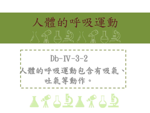 光合作用可分為光反應和碳反應，而光反應需要光照才能進行；碳反應緊接在光反應之後進行，所以間接需要光照才能進行