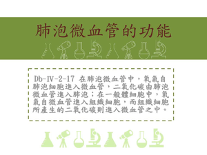 在肺泡微血管中，氧氣自肺泡細胞進入微血管，二氧化碳由肺泡微血管進入肺泡；在一般體細胞中，氧氣自微血管進入組織 細胞，而組織細胞所產生的二氧化碳則進入微血管之中