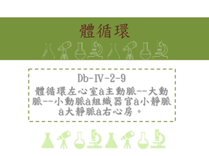體循環:左心室=&amp;gt;主動脈=&amp;gt;大動脈=&amp;gt;小動脈=&amp;gt;組織器官=&amp;gt;小靜脈=&amp;gt;大靜脈=&amp;gt;右心房