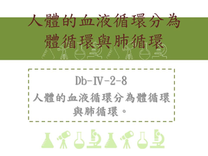 人體的血液循環分為體循環與肺循環