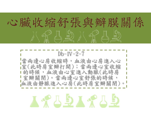 當兩邊心房收縮時，血液由心房進入心室[此時房室瓣打開]；當兩邊心室收縮的時候，血液由心室進入動脈[此時房室瓣關閉]。當兩邊心室舒張的時候，血液由靜脈進入心房[此時房室瓣關閉]