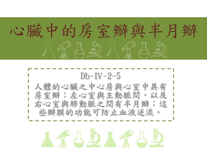 人體的心臟之中心房與心室中具有房室瓣；左心室與主動脈間，以及右心室與肺動脈之間有半月瓣；這些瓣膜的功能可防止血液逆流