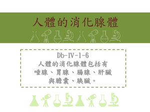 人體的消化腺體包括有唾腺、胃腺、腸線、肝臟與膽囊、胰臟