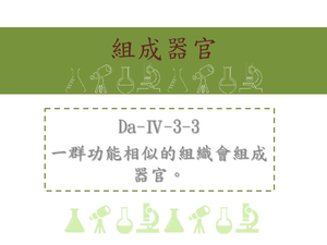 一群功能相似的組織會組成器官