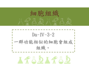 一群功能相似的細胞會組成組織