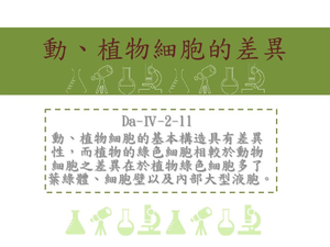 動、植物細胞的基本構造具有差異性，而植物的綠色細胞相較於動物細胞之差異在於植物綠色細胞多了葉綠體、細胞壁以及內部大型液胞