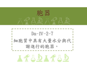細胞質中具有大量水分與代謝進行的胞器