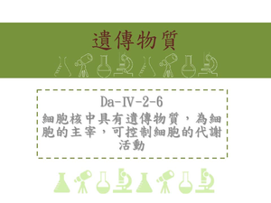 細胞核中具有遺傳物質，為細胞的主宰，可控制細胞的代謝活動