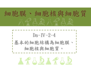 基本的細胞結構為細胞膜、細胞核與細胞質