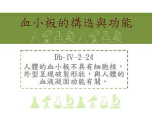 人體的血小板不具有細胞核，外型呈現破裂形狀，與人體的血液凝固功能有關