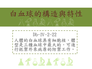 人體的白血球具有細胞核，體型是三種血球中最大的，可進行抵禦外來病原的防禦工作