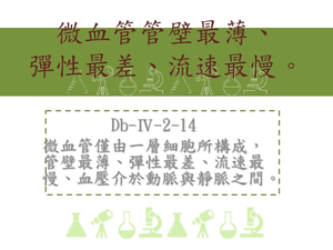 微血管僅由一層細胞所構成，管壁最薄、彈性最差、流速最慢、血壓介於動脈與靜脈之間