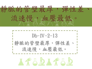 靜脈的管壁最厚，彈性差、流速慢，血壓最低