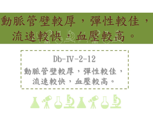 動脈管壁較厚，彈性較佳，流速較快，血壓較高