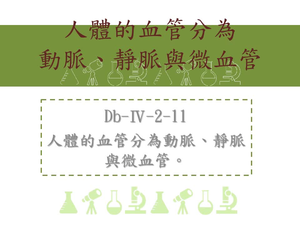 人體的血管分為動脈、靜脈與微血管