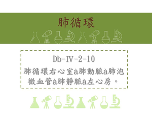 肺循環:右心室=&amp;gt;肺動脈=&amp;gt;肺泡微血管=&amp;gt;肺靜脈=&amp;gt;左心房