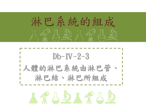 人體的淋巴系統由淋巴管、淋巴結、淋巴所組成