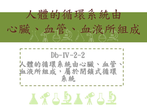 人體的循環系統由心臟、血管、血液所組成，屬於閉鎖式循環系統