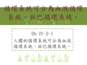 人體的循環系統可分為血液循環系統、淋巴循環系統