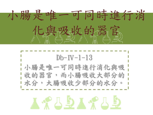 小腸是唯一可同時進行消化與吸收的器官，而小腸吸收大部分的水分，大腸吸收少部分的水分