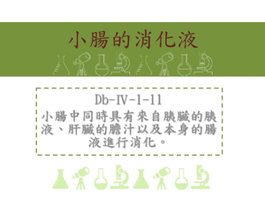 小腸中同時具有來自胰臟的胰液、肝臟的膽汁以及本身的腸液進行消化